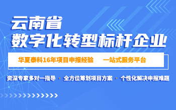 云南省数字化转型标杆企业